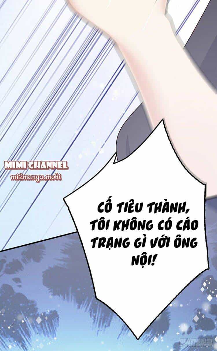 Bà Xã Quyến Rũ Trí Mạng: Tổng Tài Muốn Tái Hôn - Chương 2 - ảnh 5