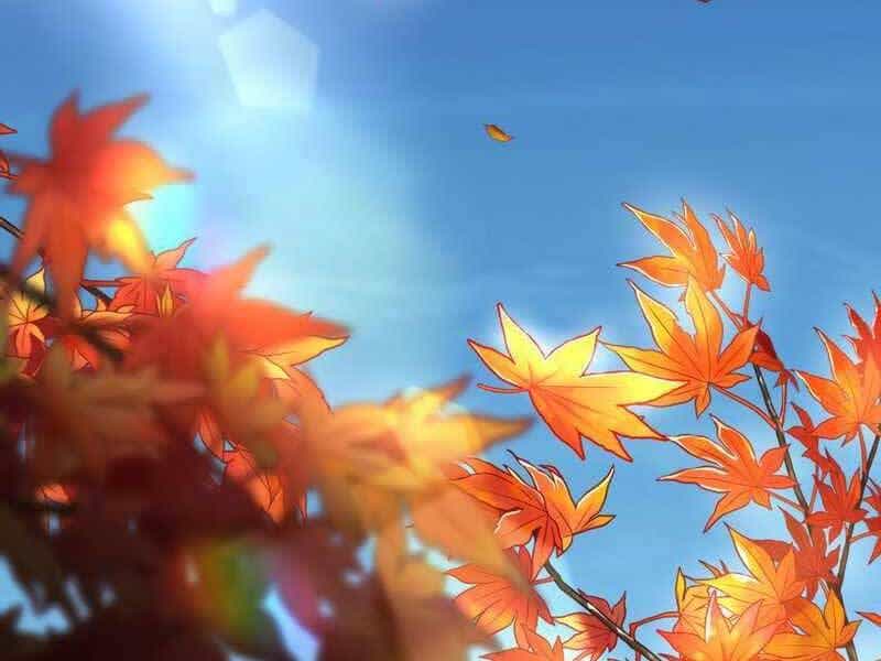 Bác Sĩ Hoàn Hảo - Chương 29 - ảnh 128