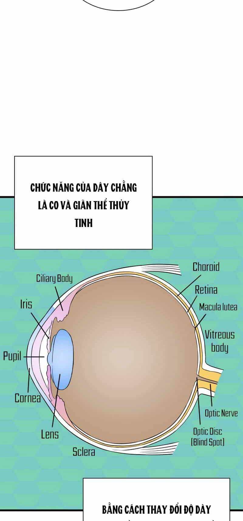 Bác Sĩ Hoàn Hảo - Chương 6 - ảnh 46