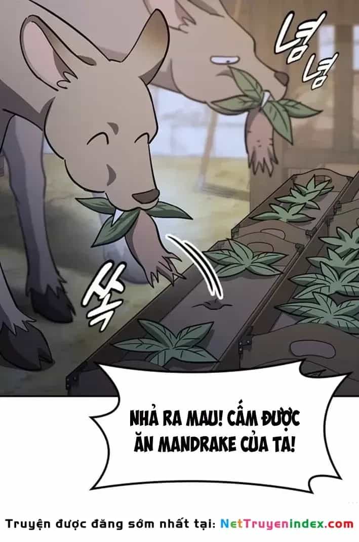 Bác Sĩ Thú Y Ở Dị Giới - Chương 50 - ảnh 22