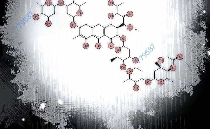 Bác Sĩ Trùng Sinh Về Murim - Chương 148 - ảnh 11