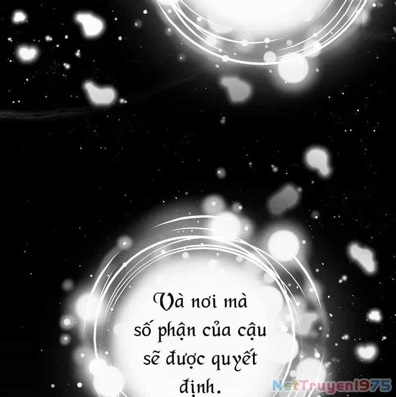 Bậc Thầy Toàn Bộ Kỹ Năng - Chương 1 - ảnh 65