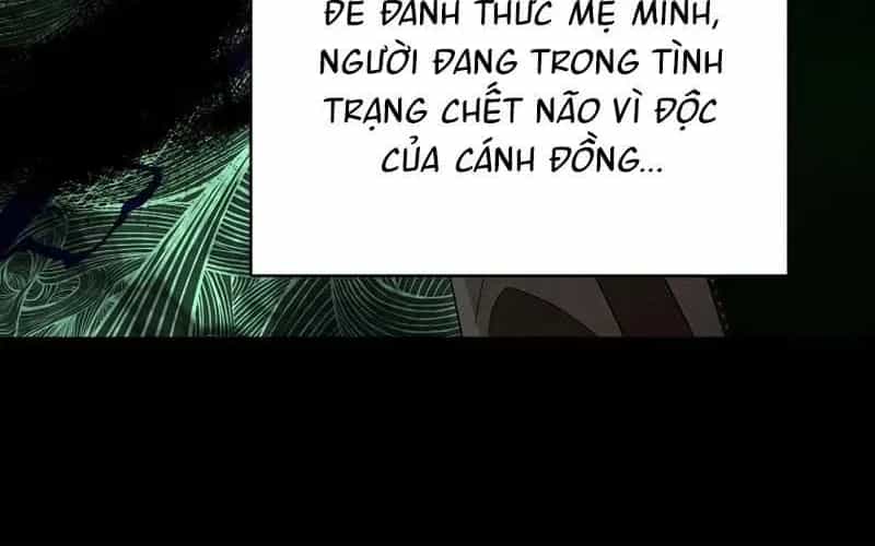 Bậc Thầy Toàn Bộ Kỹ Năng - Chương 33 - ảnh 261