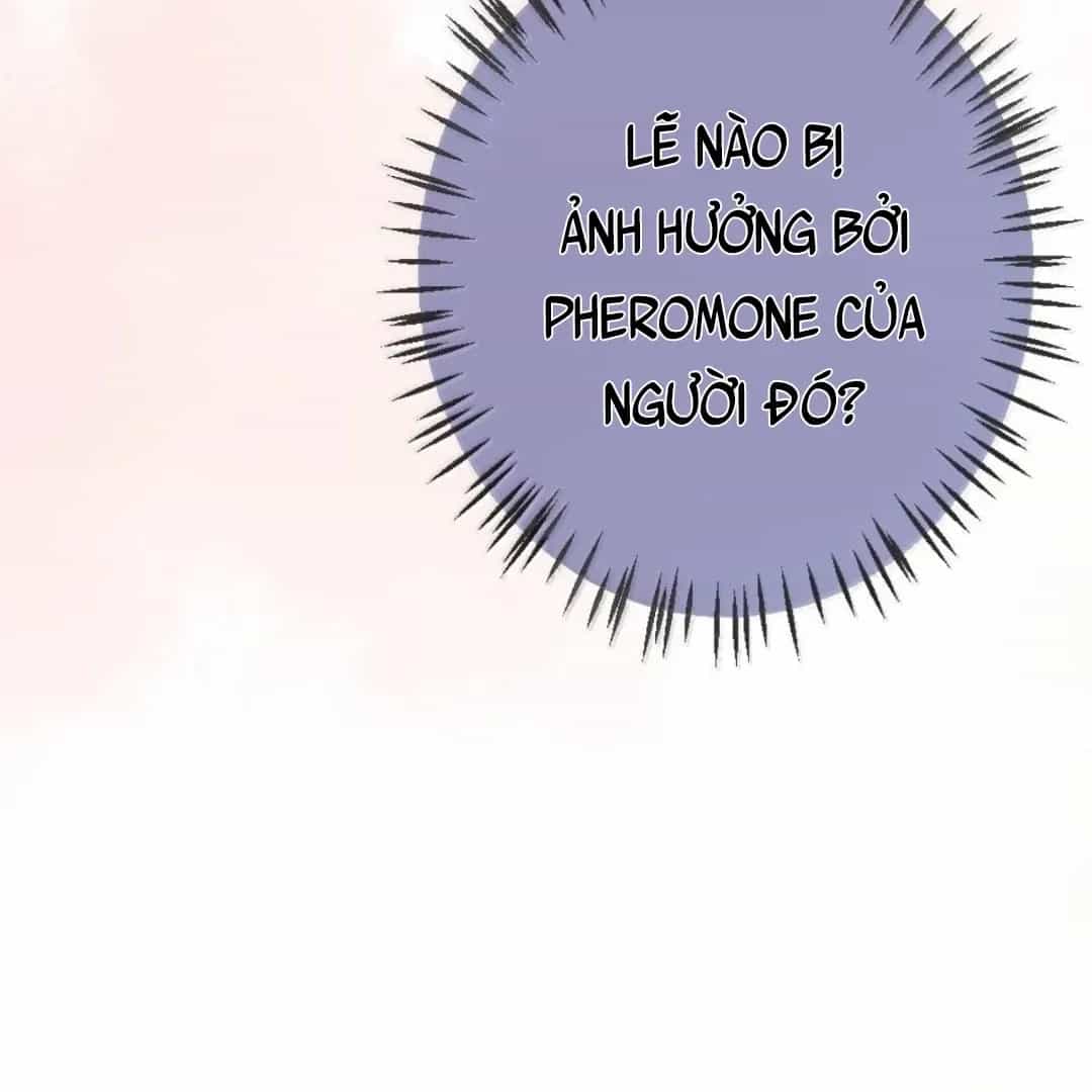 Bạch Nguyệt Quang Cô Ấy Luôn Muốn Đánh Dấu Tôi - Chương 42 - ảnh 42