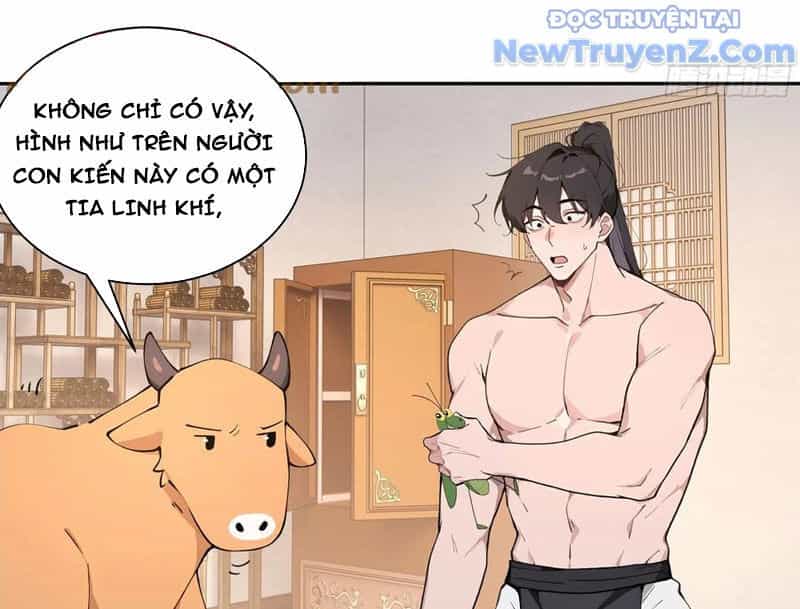Bách Thê Phổ: Thánh Nữ Đều Gọi Ta Là Phu Quân - Chương 52 - ảnh 38