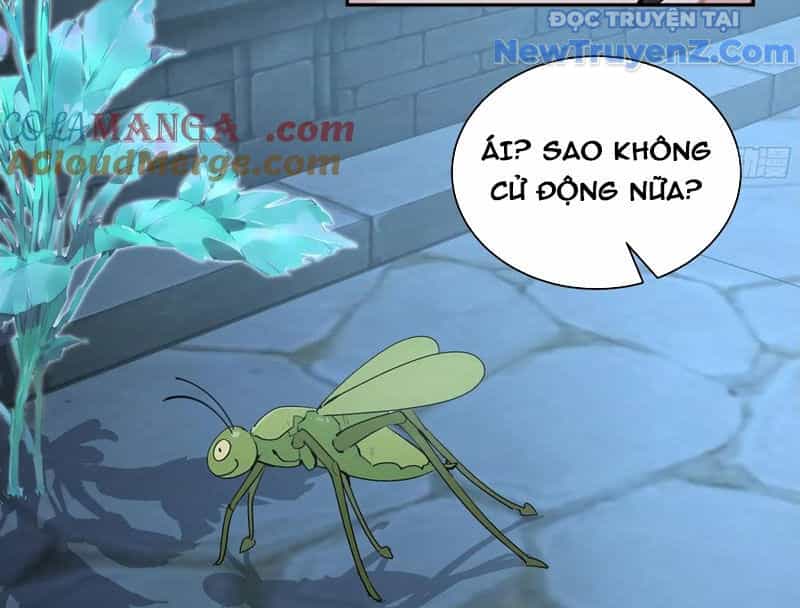 Bách Thê Phổ: Thánh Nữ Đều Gọi Ta Là Phu Quân - Chương 52 - ảnh 51