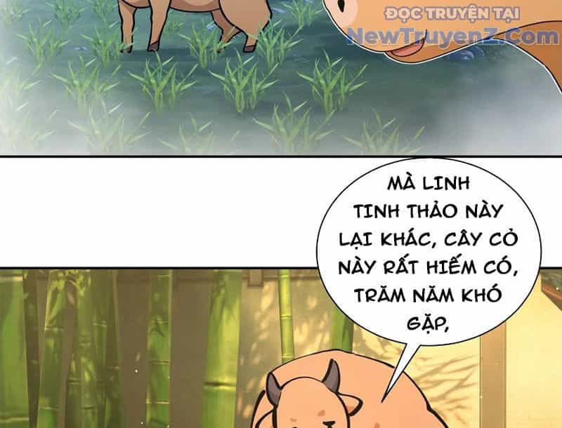 Bách Thê Phổ: Thánh Nữ Đều Gọi Ta Là Phu Quân - Chương 52 - ảnh 76