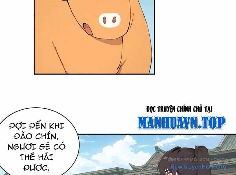 Bách Thê Phổ: Thánh Nữ Đều Gọi Ta Là Phu Quân - Chương 66 - ảnh 11