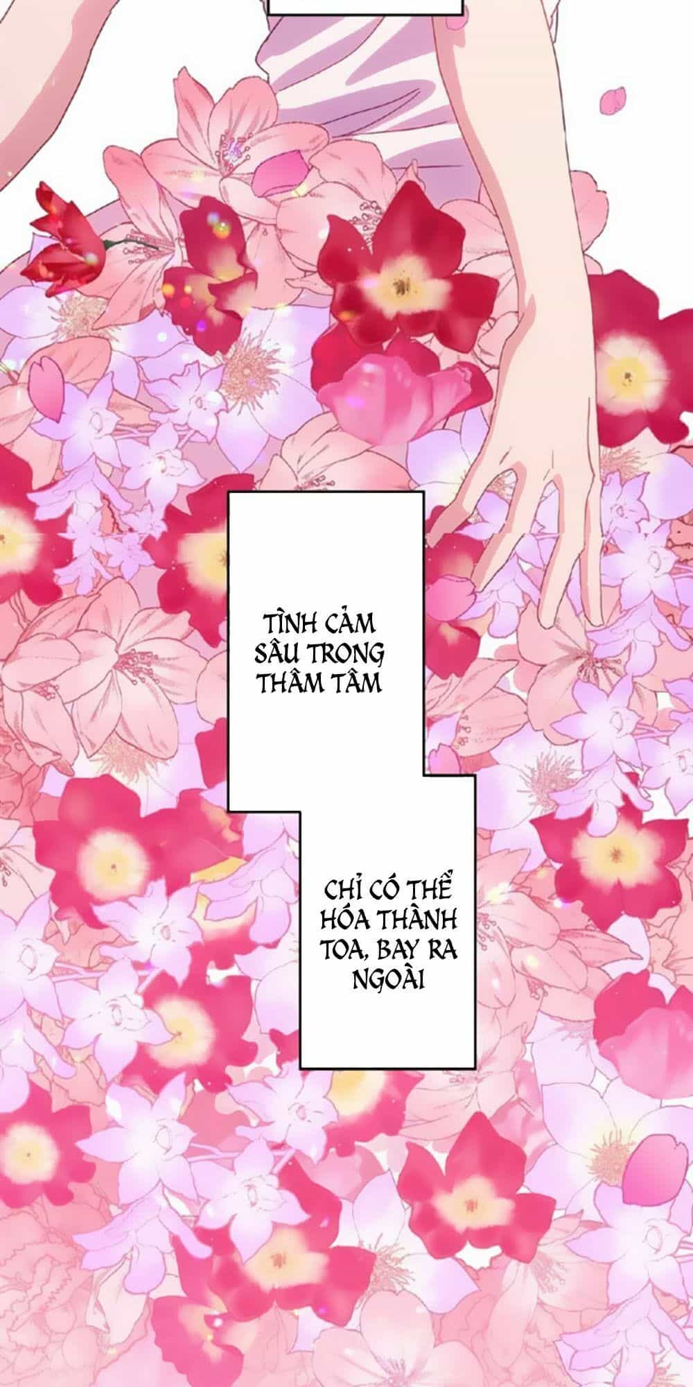Bài Ca Tình Yêu - Chương 14 - ảnh 9