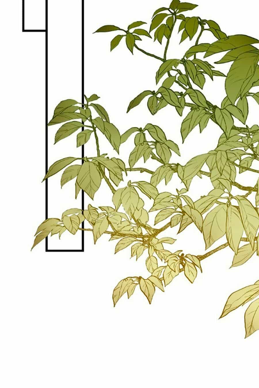 Bài Ca Tình Yêu - Chương 5 - ảnh 37