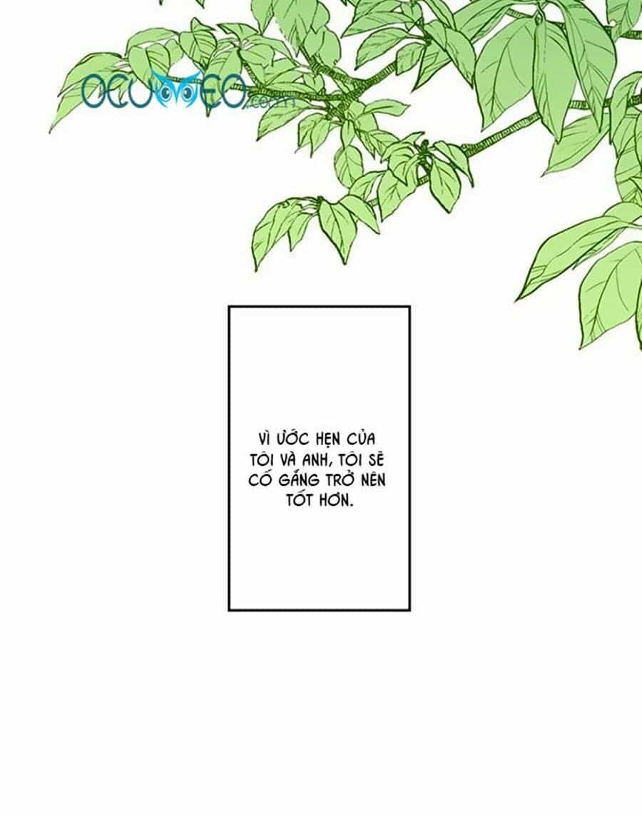 Bài Ca Tình Yêu - Chương 8 - ảnh 45
