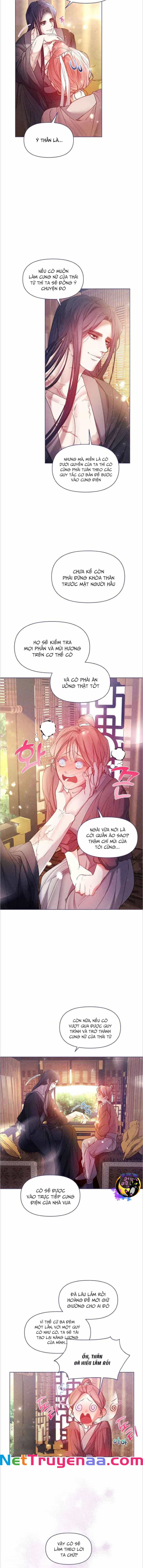 Bạn Đồng Hành Của Ryun - Chương 6 - ảnh 5