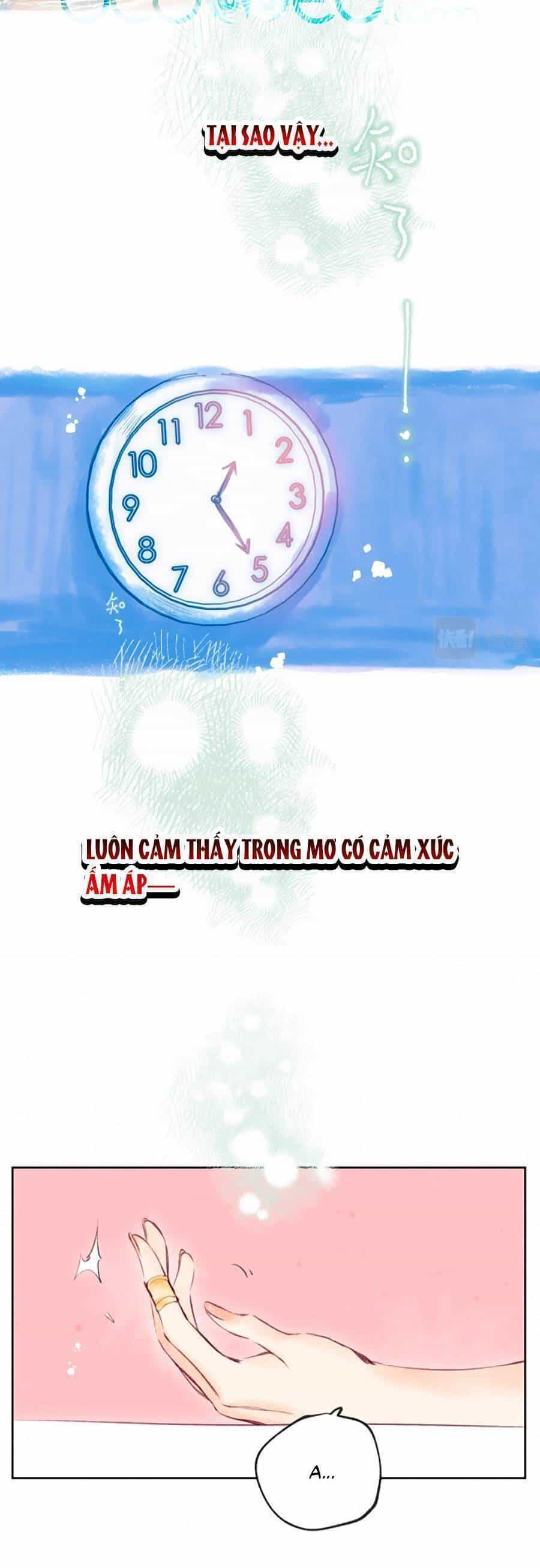Bạn Gái Tôi Ấm Áp Tựa Như Xương Rồng Nở Hoa - Chương 13 - ảnh 23