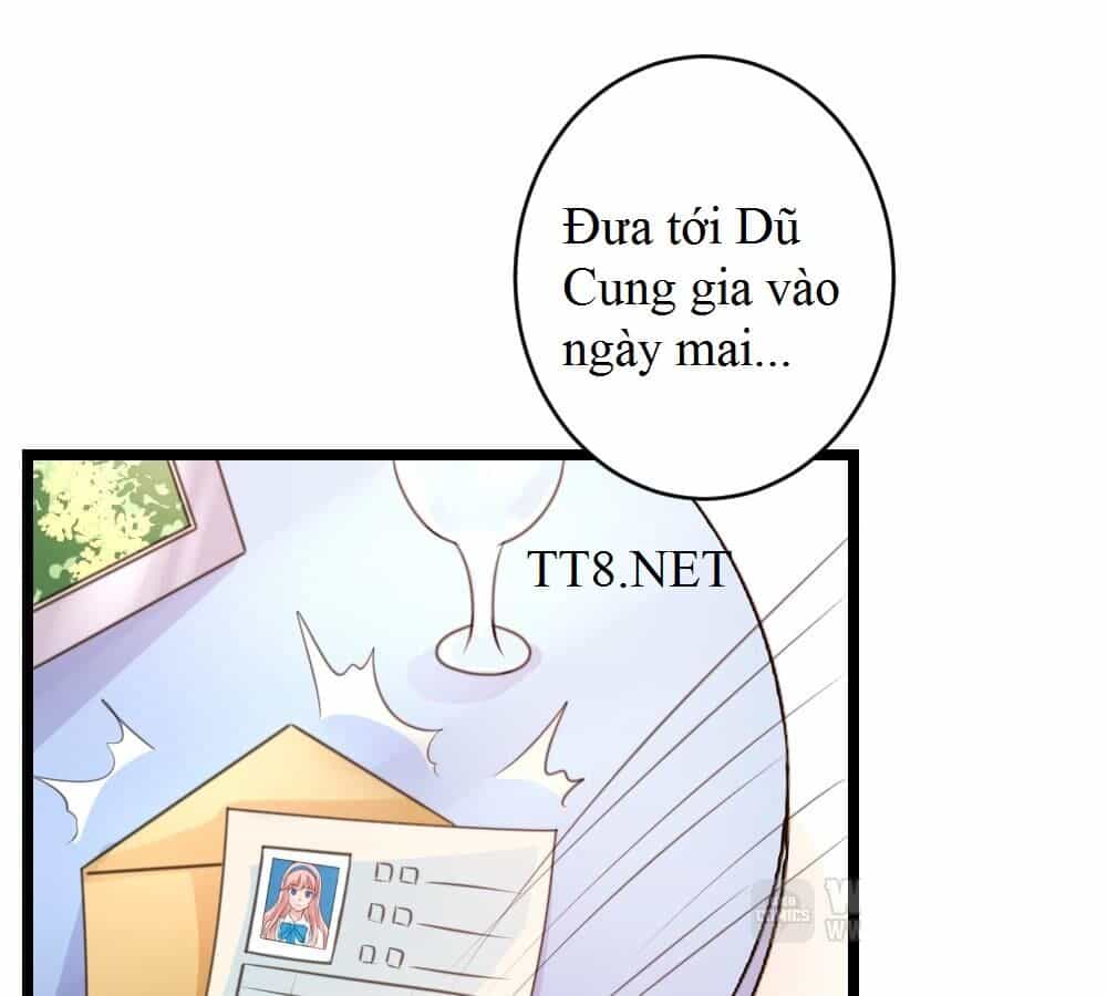 Bản Hợp Đồng Vô Cảm - Chương 1 - ảnh 14