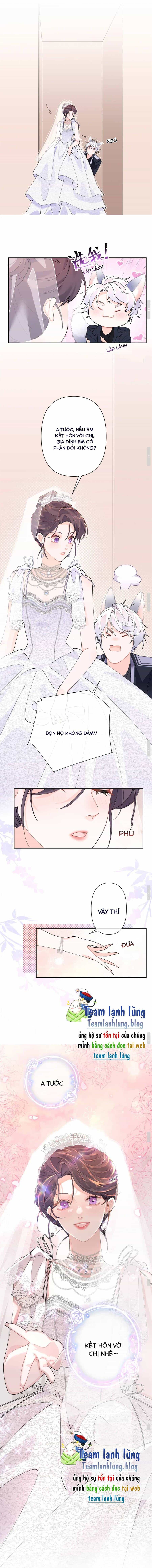 Ban Ngày Bị Hủy Hôn, Buổi Tối Bị Chỉ Huy Vừa Đáng Yêu Vừa Hung Dữ Đòi Ôm. - Chương 2 - ảnh 4
