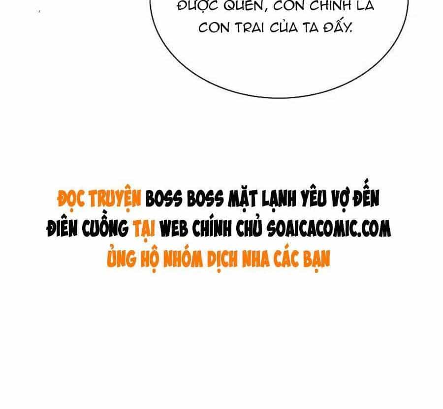 Băng Sơn Tổng Tài Sủng Thê Đến Vô Đạo - Chương 235 - ảnh 27