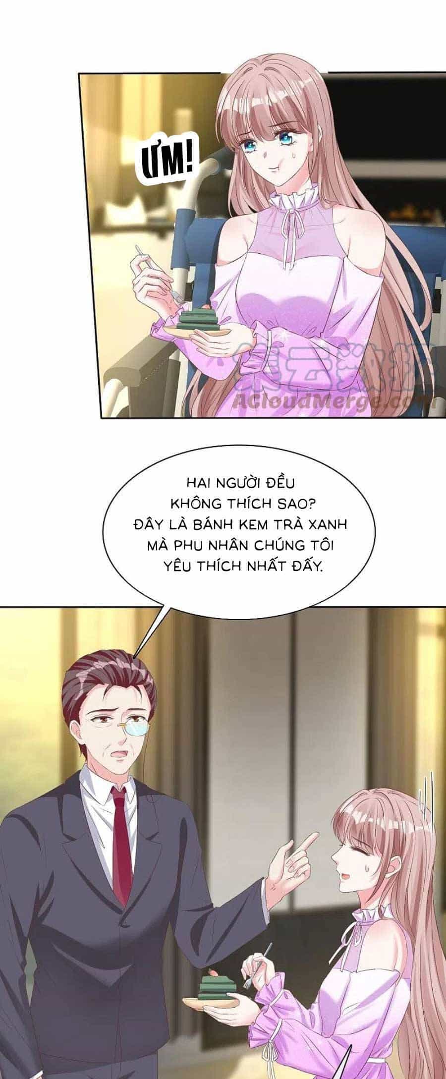 Băng Sơn Tổng Tài Sủng Thê Đến Vô Đạo - Chương 253 - ảnh 9