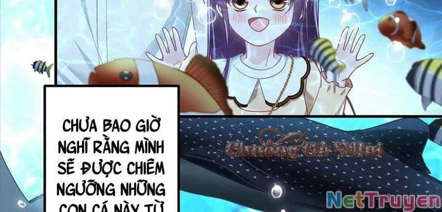 Bảo Bối Tâm Gan Của Lão Đại Xuyên Không Trở Lại Rồi - Chương 64 - ảnh 61