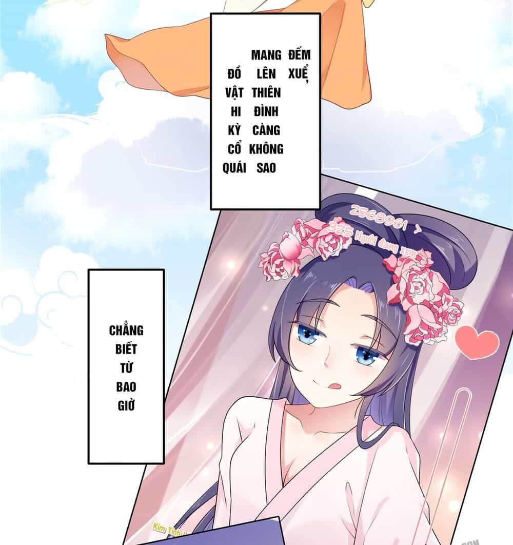 Báo Cáo! Đế Quân Ngài Có Độc! - Chương 1 - ảnh 6