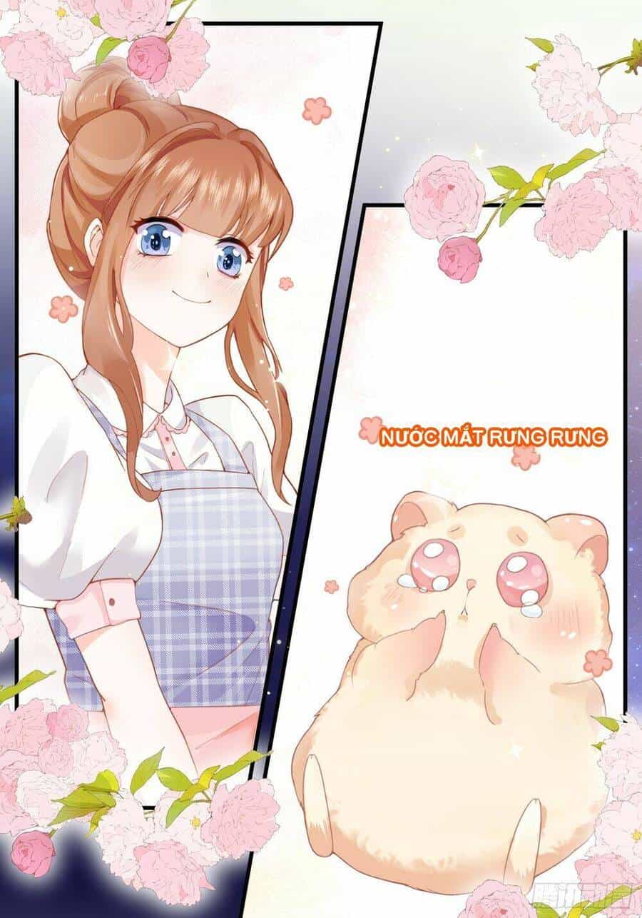 Bảo Điển Tình Yêu Của Hamster - Chương 1 - ảnh 10