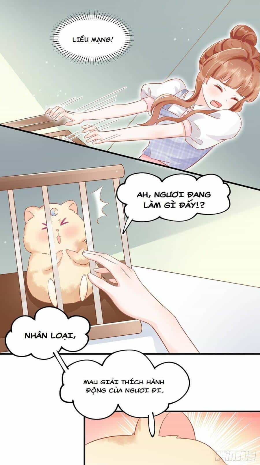 Bảo Điển Tình Yêu Của Hamster - Chương 1 - ảnh 33