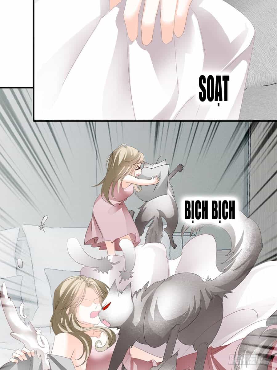 Bạo Quân Ái Nhân - Chương 42 - ảnh 20