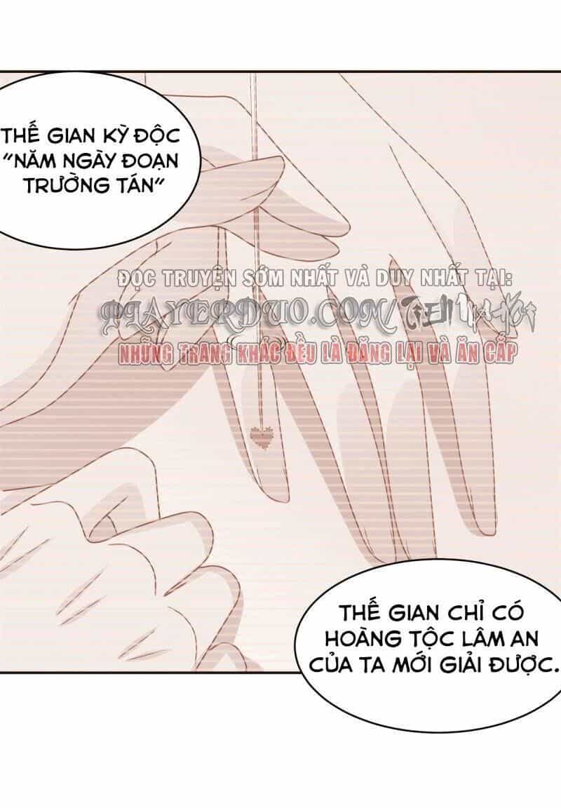 Bạo Quân Đừng Chạy, Công Chúa Muốn Vong Quốc - Chương 12 - ảnh 23