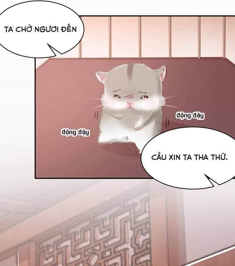 Bạo Quân Đừng Chạy, Công Chúa Muốn Vong Quốc - Chương 13 - ảnh 3