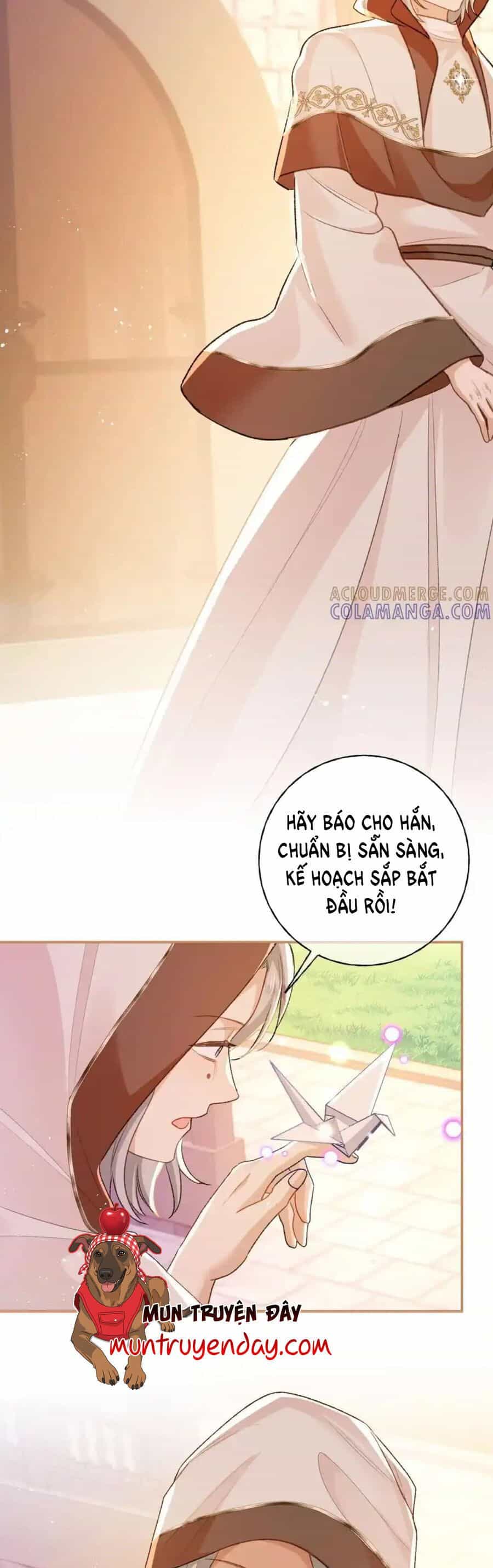 Bạo Quân Khát Máu Hóa Ra Là Chồng Cũ Của Tôi - Chương 55 - ảnh 7