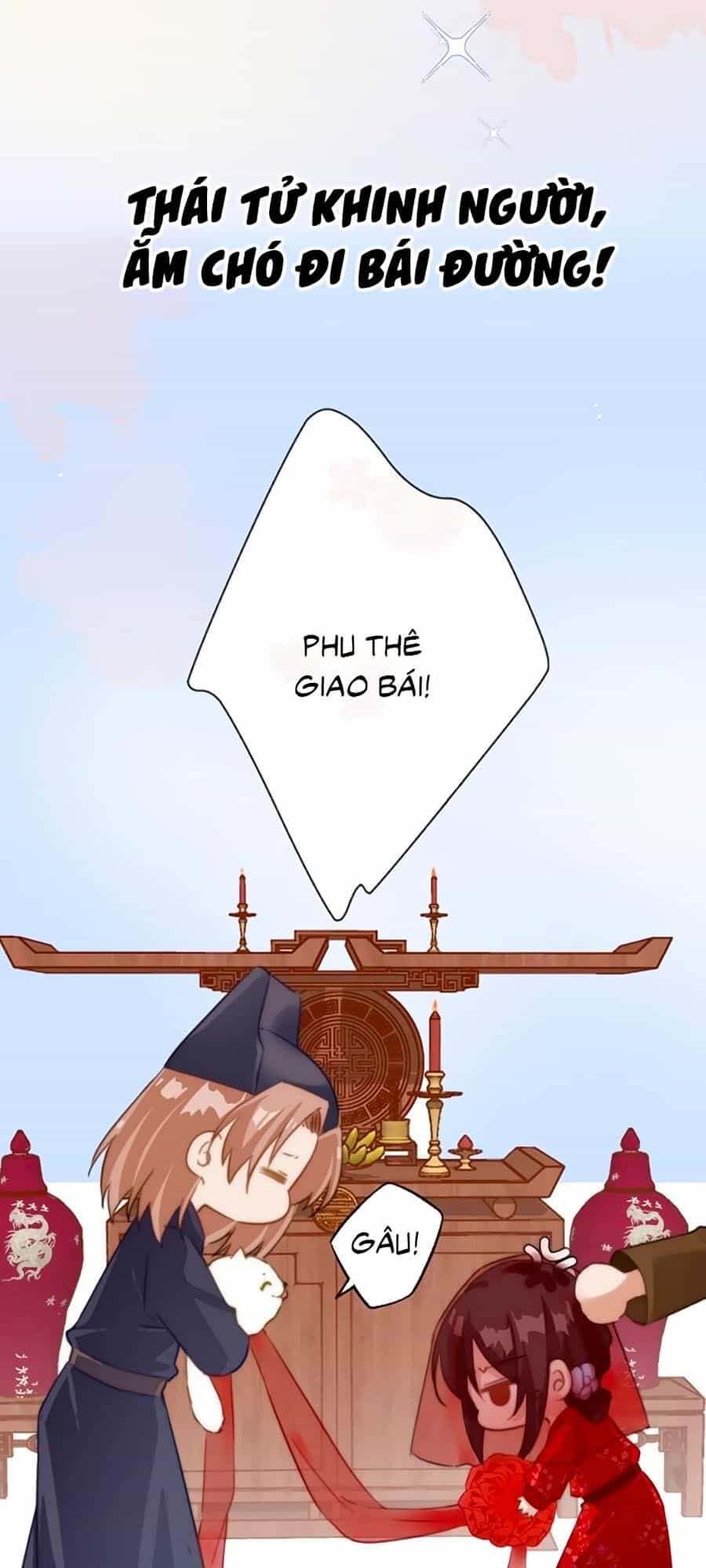 Bạo Sủng Tiểu Manh Phi - Chương 0 - ảnh 10