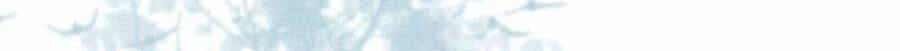 Bắt Đầu Hủy Hôn Để Công Lược Vương Gia - Chương 59 - ảnh 17