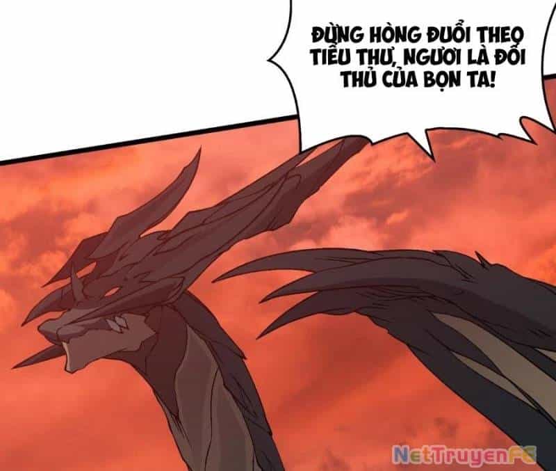 Bắt Đầu Kế Nhiệm Boss Hắc Long, Ta Vô Địch - Chương 31 - ảnh 56