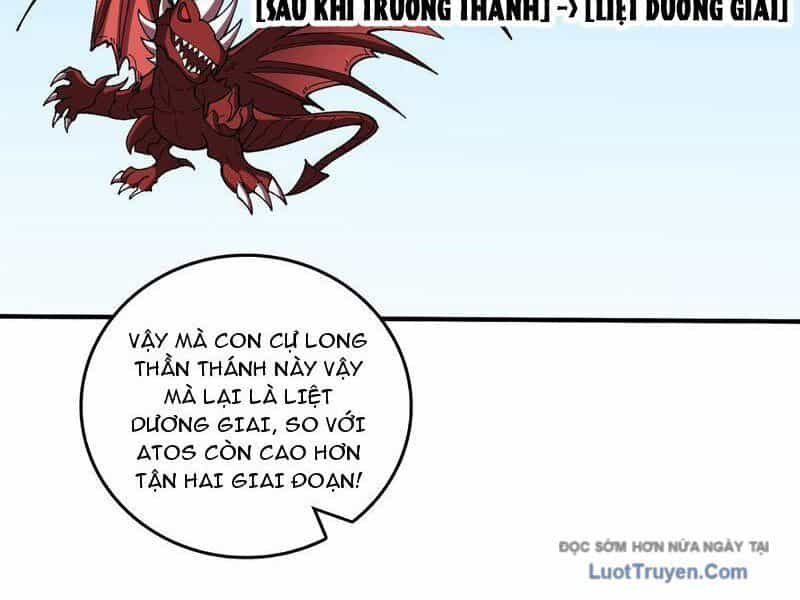 Bắt Đầu Kế Nhiệm Boss Hắc Long, Ta Vô Địch - Chương 82 - ảnh 8