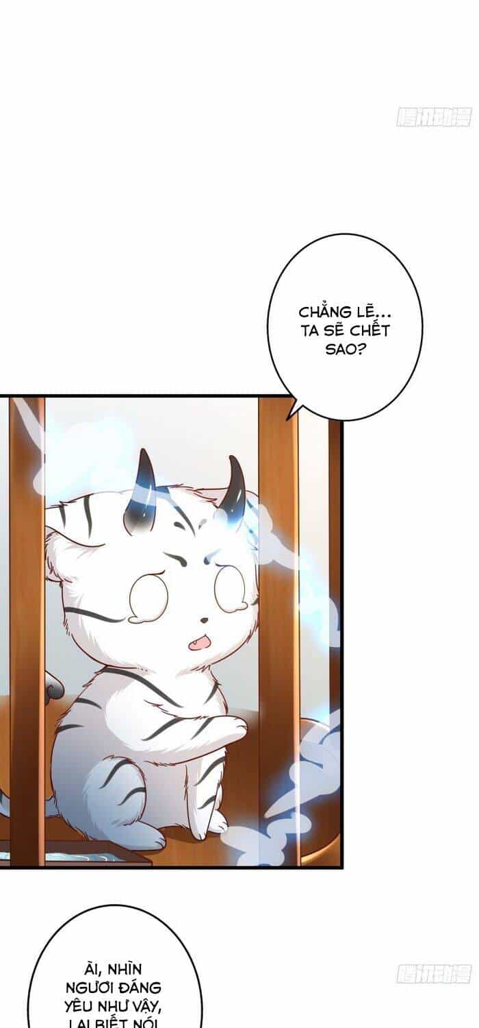 Bắt Đầu Từ Làm Ngón Tay Vàng - Chương 1 - ảnh 31