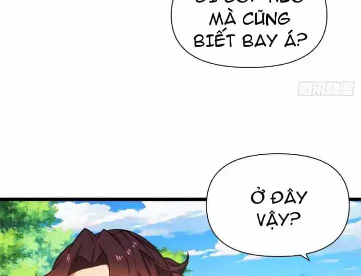Bật Hack Mà Vẫn Là Tông Môn Yếu Nhất Sao? - Chương 3 - ảnh 24
