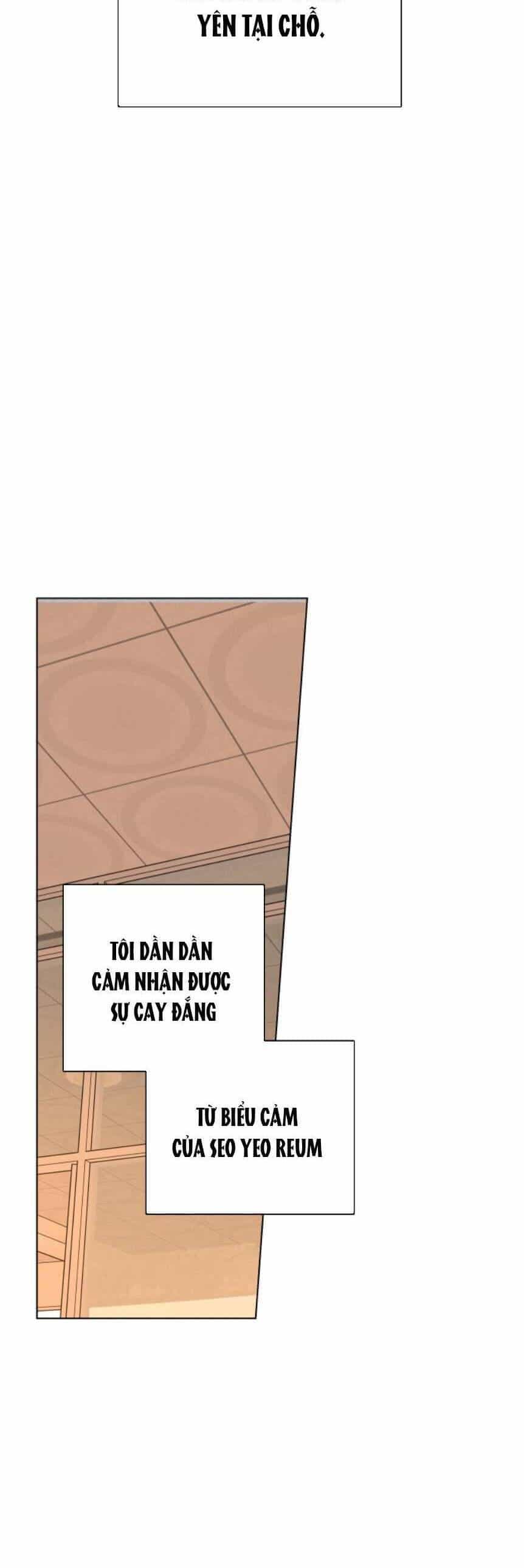 Bầu Trời Mùa Hạ Dấu Yêu - Chương 12 - ảnh 52