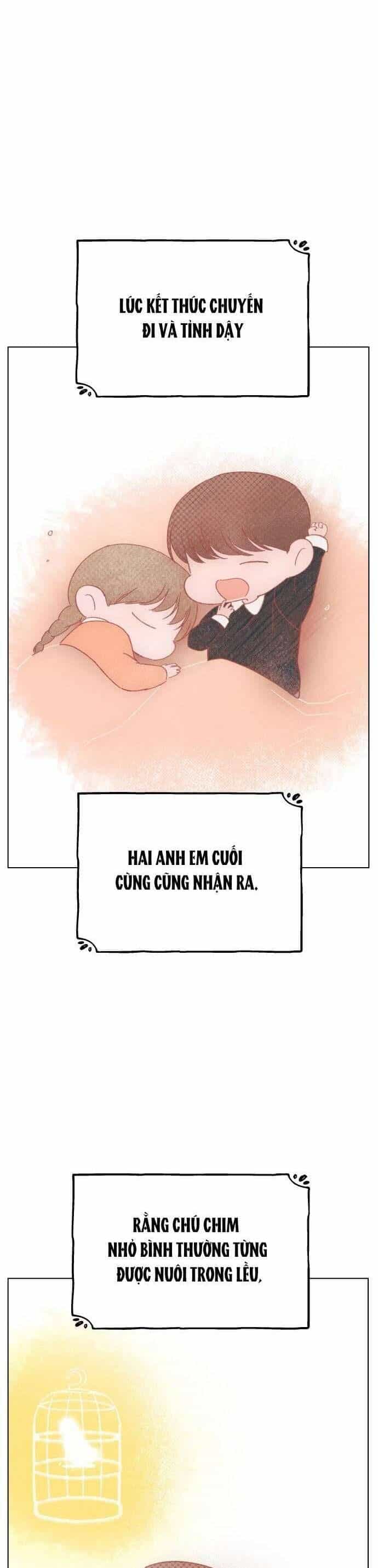 Bầu Trời Mùa Hạ Dấu Yêu - Chương 59 - ảnh 4