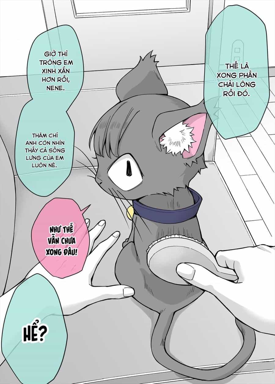 Bé Mèo Yandere Của Tôi Yêu Tôi Rất Nhiều - Chuong 6 - ảnh 1