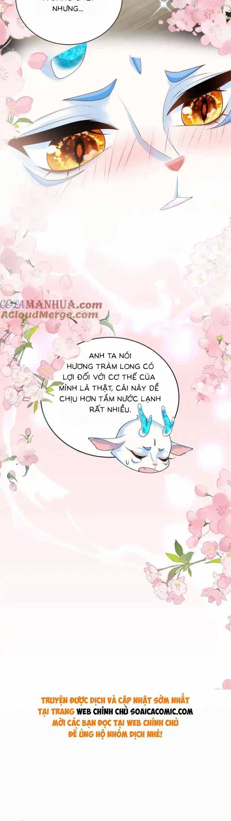 Bé Rồng Đột Kích! Mami Vừa Cay Vừa Độc - Chương 60 - ảnh 28