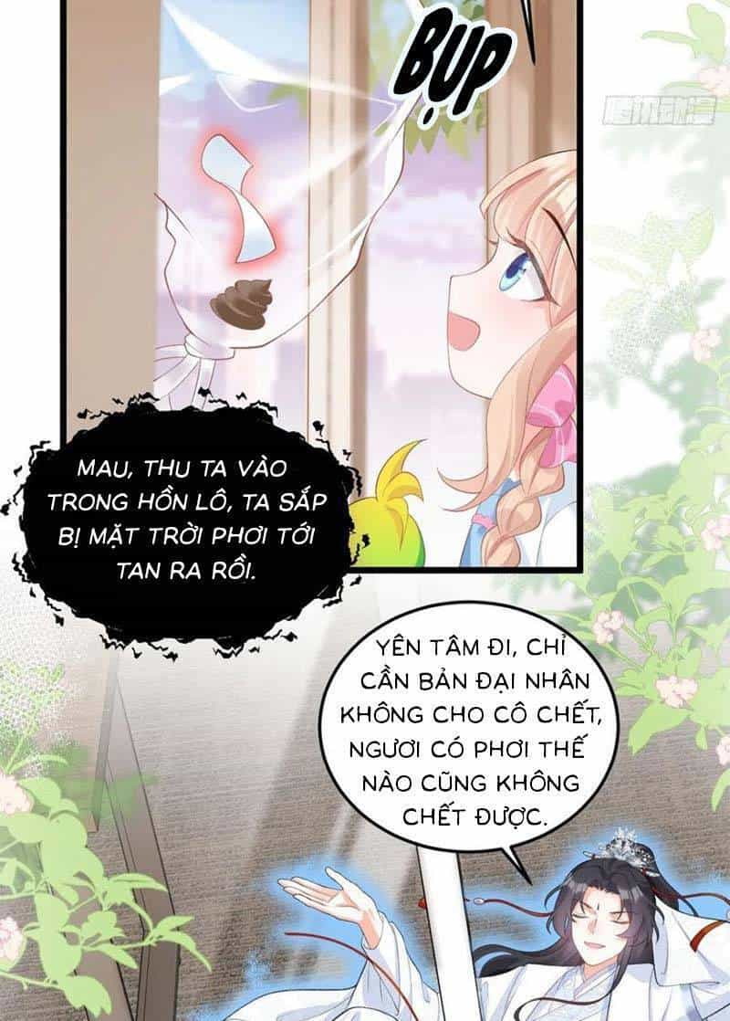 Bé Thóc Đáng Thương Được Tám Người Cậu Tranh Sủng - Chương 13 - ảnh 20