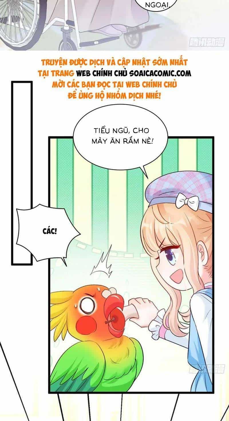 Bé Thóc Đáng Thương Được Tám Người Cậu Tranh Sủng - Chương 14 - ảnh 9
