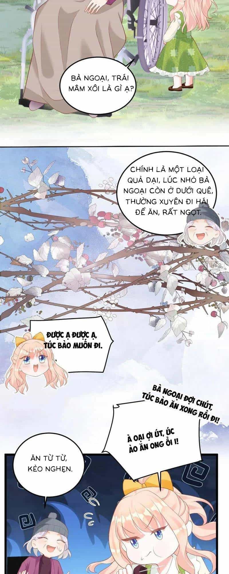 Bé Thóc Đáng Thương Được Tám Người Cậu Tranh Sủng - Chương 18 - ảnh 18