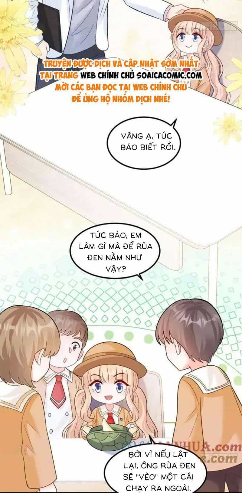 Bé Thóc Đáng Thương Được Tám Người Cậu Tranh Sủng - Chương 28 - ảnh 27