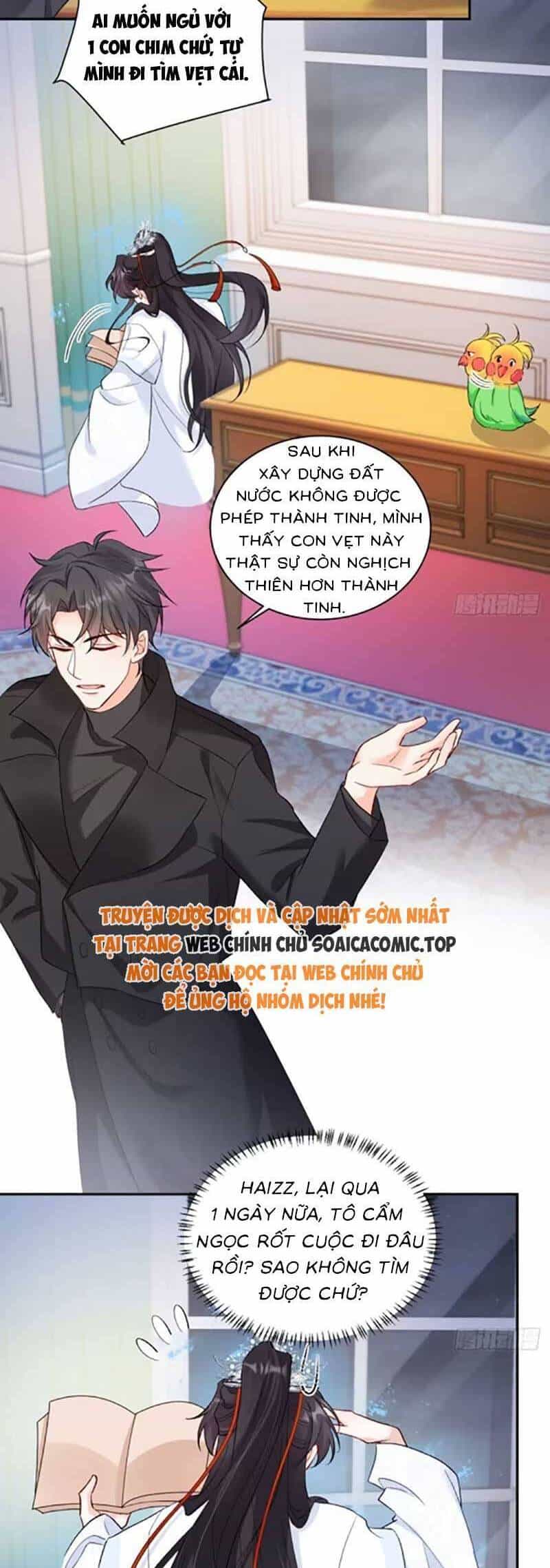 Bé Thóc Đáng Thương Được Tám Người Cậu Tranh Sủng - Chương 72 - ảnh 16