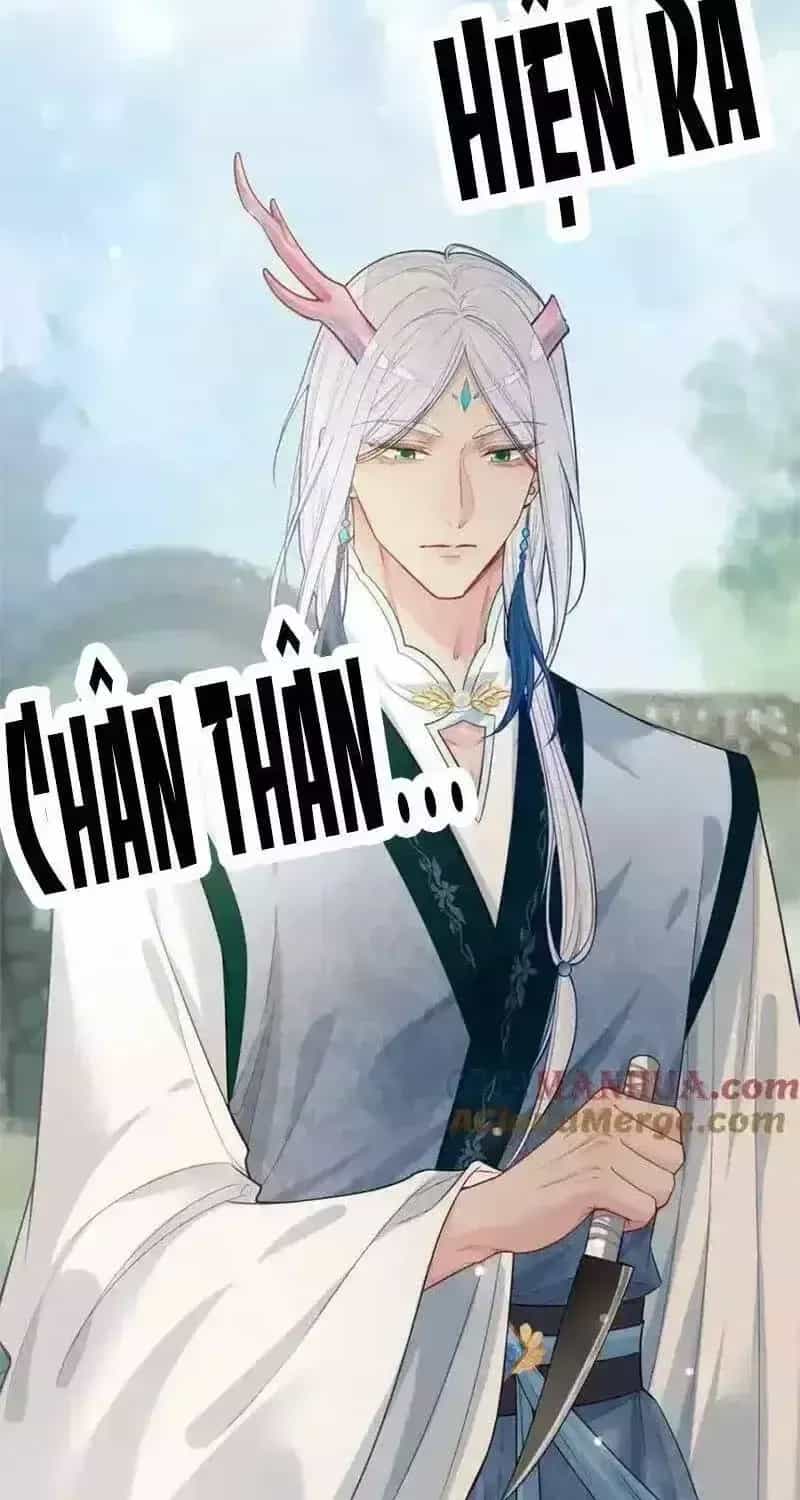 Bệnh Kiều Nam Chủ Lại Ghen Rồi - Chương 143.2 - ảnh 6
