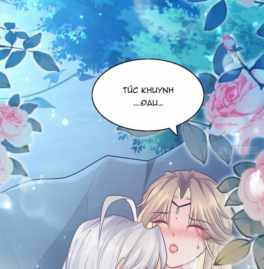 Bệnh Kiều Vương Gia Dựa Vào Ta Để Tiếp Tục Sống - Chương 23 - ảnh 15