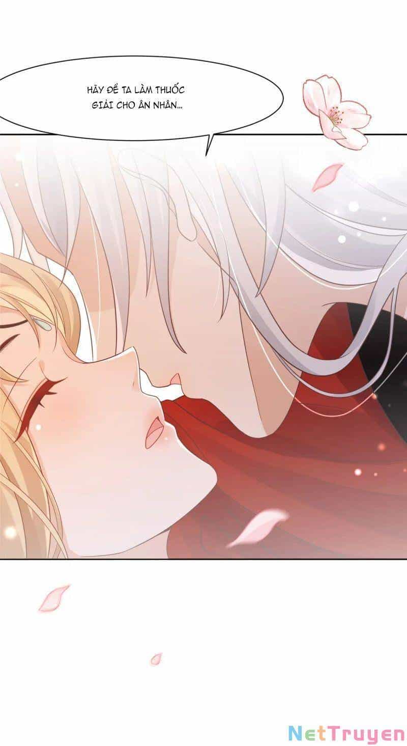 Bệnh Kiều Vương Gia Dựa Vào Ta Để Tiếp Tục Sống - Chương 66 - ảnh 32