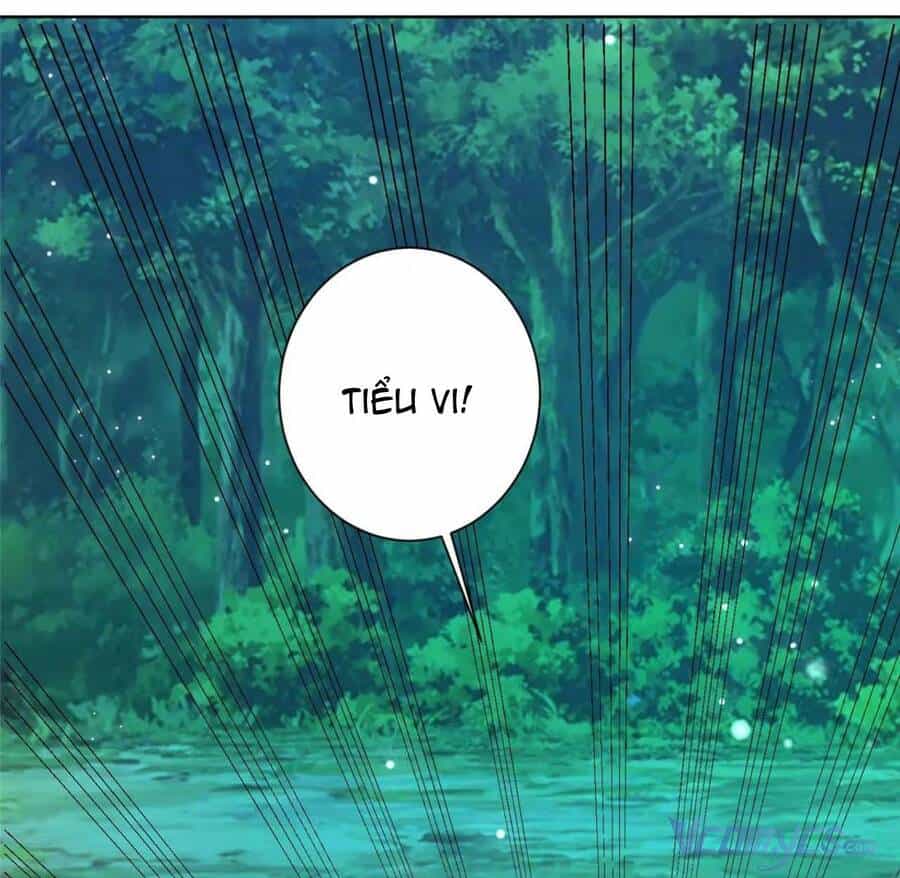 Bệnh Kiều Vương Gia Dựa Vào Ta Để Tiếp Tục Sống - Chương 70 - ảnh 14