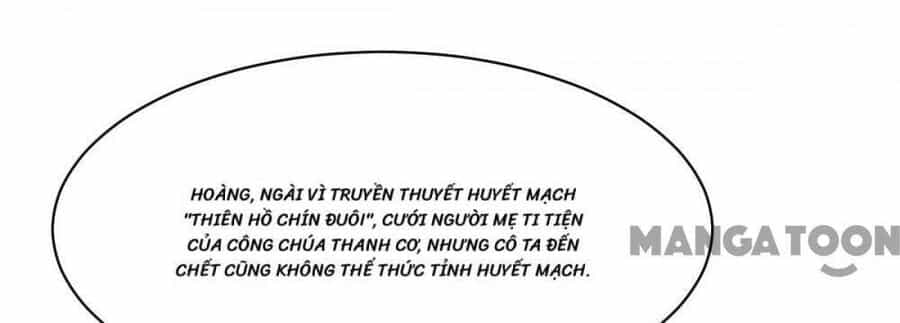 Bị Cắn Thành Vương Giả - Chương 53 - ảnh 28