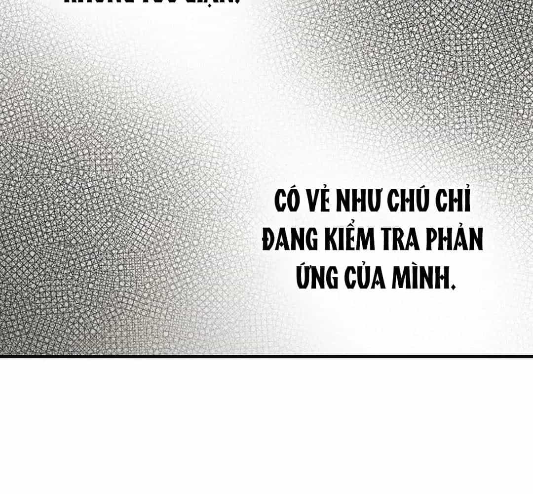 Bị Che Khuất Bởi Mặt Trời Lặn - Chương 189 - ảnh 13
